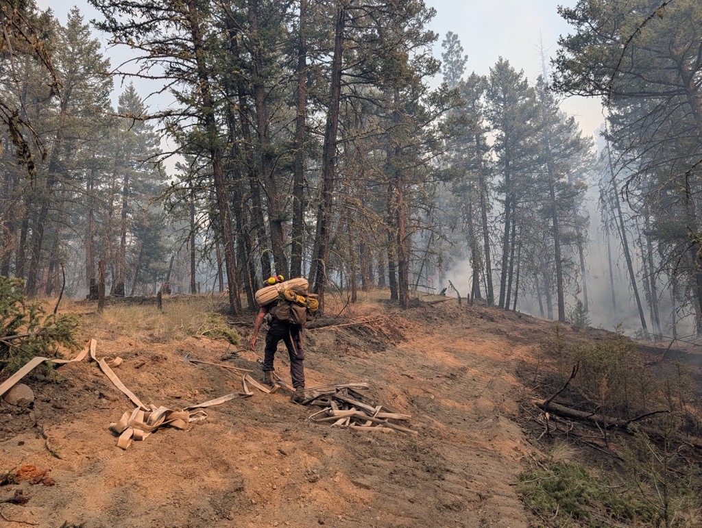 b.c. wildfires
