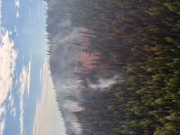 N51161_PM-1_28-07-26.jpg