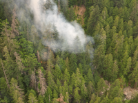Aerial view of Brunswick Creek Wildfire (V10742) July 5.PNG