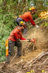 V10742 Seton Unit Crew conducting direct attack along south edge of fire July 9.jpg